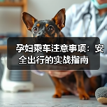 孕妇乘车注意事项：安全出行的实战指南（图3）