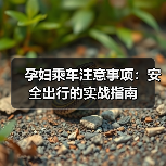 孕妇乘车注意事项：安全出行的实战指南（图2）
