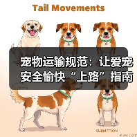 宠物运输规范：让爱宠安全愉快“上路”指南（图2）