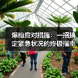 爆胎应对措施：一招搞定紧急状况的终极指南（图2）