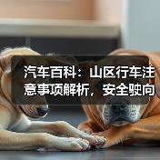 汽车百科：山区行车注意事项解析，安全驶向每一段山川（图2）