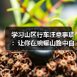 学习山区行车注意事项：让你在蜿蜒山路中自由驰骋的秘密（图2）