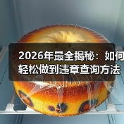 2026年最全揭秘：如何轻松做到违章查询方法的实操指南（图4）