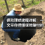 保险理赔流程详解：一文带你搞懂保险赔付的隐藏技巧（图4）