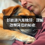 新能源汽车牌照：理解政策背后的秘密（图3）