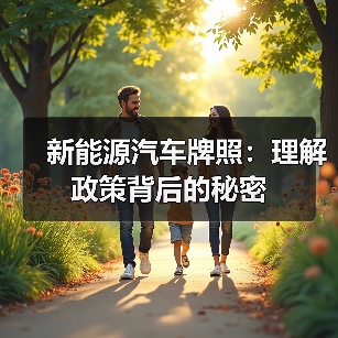 新能源汽车牌照：理解政策背后的秘密（图2）