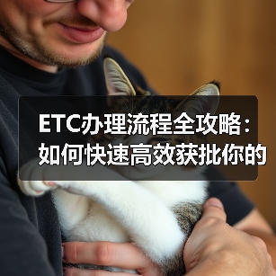 ETC办理流程全攻略：如何快速高效获批你的电子收费卡（图4）