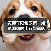 黄标车限制政策:如何影响你的出行与车辆选择(图3) 黄标车限制政策:如何影响你的出行与车辆选择(图3)