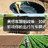 黄标车限制政策:如何影响你的出行与车辆选择(图1) 黄标车限制政策:如何影响你的出行与车辆选择(图1)