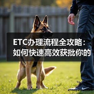 ETC办理流程全攻略：如何快速高效获批你的电子收费卡（图3）