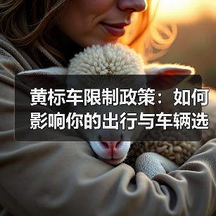 黄标车限制政策:如何影响你的出行与车辆选择(图2) 黄标车限制政策:如何影响你的出行与车辆选择(图2)