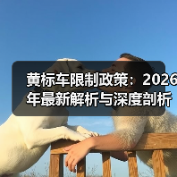 黄标车限制政策：2026年最新解析与深度剖析（图1）