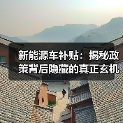 新能源车补贴：揭秘政策背后隐藏的真正玄机（图2）