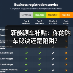 新能源车补贴:你的购车秘诀还是陷阱?(图4) 新能源车补贴:你的购车秘诀还是陷阱?(图4)
