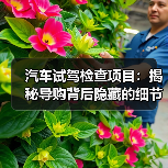 汽车试驾检查项目：揭秘导购背后隐藏的细节技巧（图4）
