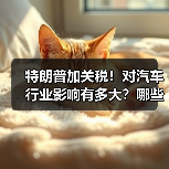 中美汽车贸易现状:奔驰宝马占据美国出口中国半壁江山 中美汽车贸易现状:奔驰宝马占据美国出口中国半壁江山