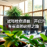 试驾检查项目：开启汽车买卖的必经之路（图2）