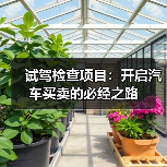 试驾检查项目：开启汽车买卖的必经之路（图1）