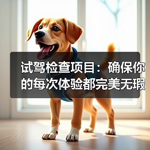 试驾检查项目：确保你的每次体验都完美无瑕（图2）