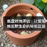 底盘锈蚀评估：让爱车焕发新生命的秘密武器（图2）