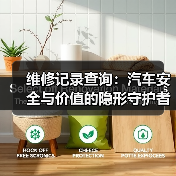 维修记录查询：汽车安全与价值的隐形守护者（图2）