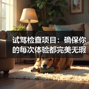 试驾检查项目：确保你的每次体验都完美无瑕（图4）