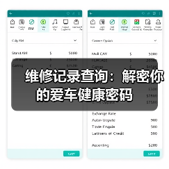 维修记录查询:解密你的爱车健康密码(图4) 维修记录查询:解密你的爱车健康密码(图4)