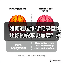 如何通过维修记录查询让你的爱车更靠谱?揭开汽车后顾无忧的秘密(图3) 如何通过维修记录查询让你的爱车更靠谱?揭开汽车后顾无忧的秘密(图3)
