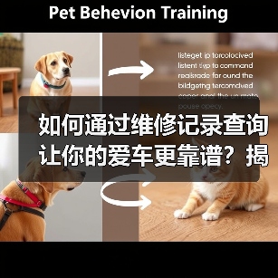 如何通过维修记录查询让你的爱车更靠谱?揭开汽车后顾无忧的秘密(图1) 如何通过维修记录查询让你的爱车更靠谱?揭开汽车后顾无忧的秘密(图1)