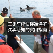 二手车评估标准详解:买卖必知的实用指南(图3) 二手车评估标准详解:买卖必知的实用指南(图3)