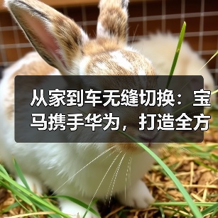 宝马携手华为共建智能生态，鸿蒙赋能车载体验升级