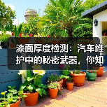 漆面厚度检测:汽车维护中的秘密武器,你知道吗?(图2) 漆面厚度检测:汽车维护中的秘密武器,你知道吗?(图2)