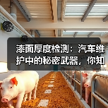 漆面厚度检测:汽车维护中的秘密武器,你知道吗?(图1) 漆面厚度检测:汽车维护中的秘密武器,你知道吗?(图1)