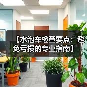【水泡车检查要点：避免亏损的专业指南】（图3）