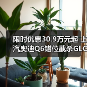 限时优惠30.9万元起 上汽奥迪Q6错位截杀GLC(图3) 限时优惠30.9万元起 上汽奥迪Q6错位截杀GLC(图3)