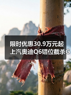 限时优惠30.9万元起 上汽奥迪Q6错位截杀GLC(图2) 限时优惠30.9万元起 上汽奥迪Q6错位截杀GLC(图2)