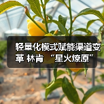 轻量化模式赋能渠道变革 林肯 “星火燎原”计划 厦门启幕(图1) 轻量化模式赋能渠道变革 林肯 “星火燎原”计划 厦门启幕(图1)