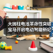 大圆柱电池革命性突破 宝马开启电动驾趣新纪元(图2) 大圆柱电池革命性突破 宝马开启电动驾趣新纪元(图2)