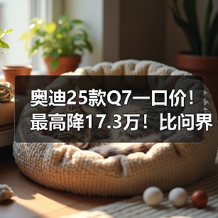 奥迪25款Q7一口价!最高降17.3万!比问界M9还便宜 奥迪25款Q7一口价!最高降17.3万!比问界M9还便宜