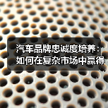 汽车品牌忠诚度培养:如何在复杂市场中赢得用户信任(图3) 汽车品牌忠诚度培养:如何在复杂市场中赢得用户信任(图3)
