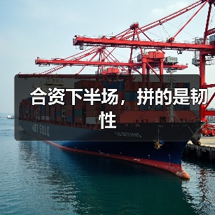 合资下半场,拼的是韧性 合资下半场,拼的是韧性