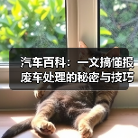 汽车百科：一文搞懂报废车处理的秘密与技巧（图2）