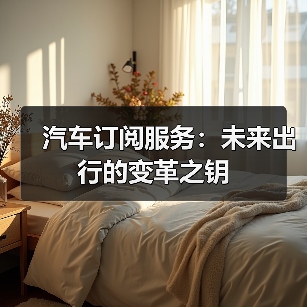 汽车订阅服务:未来出行的变革之钥(图4) 汽车订阅服务:未来出行的变革之钥(图4)