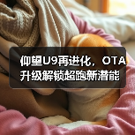仰望U9飞跃功能震撼发布 智能驾驶体验全面升级-云溯流冠邦工安格罗汽配