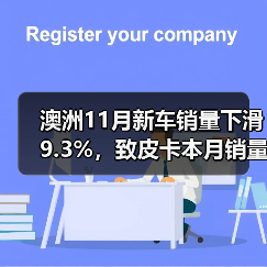 澳洲11月新车销量下滑9.3%,致皮卡本月销量整体走低(图4) 澳洲11月新车销量下滑9.3%,致皮卡本月销量整体走低(图4)