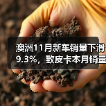 澳洲11月新车销量下滑9.3%,致皮卡本月销量整体走低(图2) 澳洲11月新车销量下滑9.3%,致皮卡本月销量整体走低(图2)