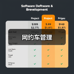 网约车管理（图3）