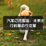 汽车订阅服务:未来出行的革命性变革(图4) 汽车订阅服务:未来出行的革命性变革(图4)