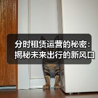 分时租赁运营的秘密：揭秘未来出行的新风口（图4）