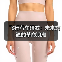 飞行汽车研发：未来交通的革命浪潮（图2）